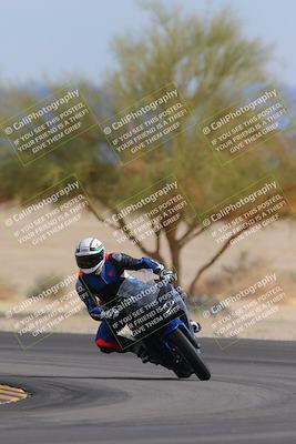 media/Nov-05-2022-SoCal Trackdays (Sat) [[f8d9b725ab]]/Turn 4 Tree of Life (125pm)/